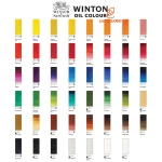 رنگ روغن تک رنگ 37 میل وینزور (Winsor&Winton)
