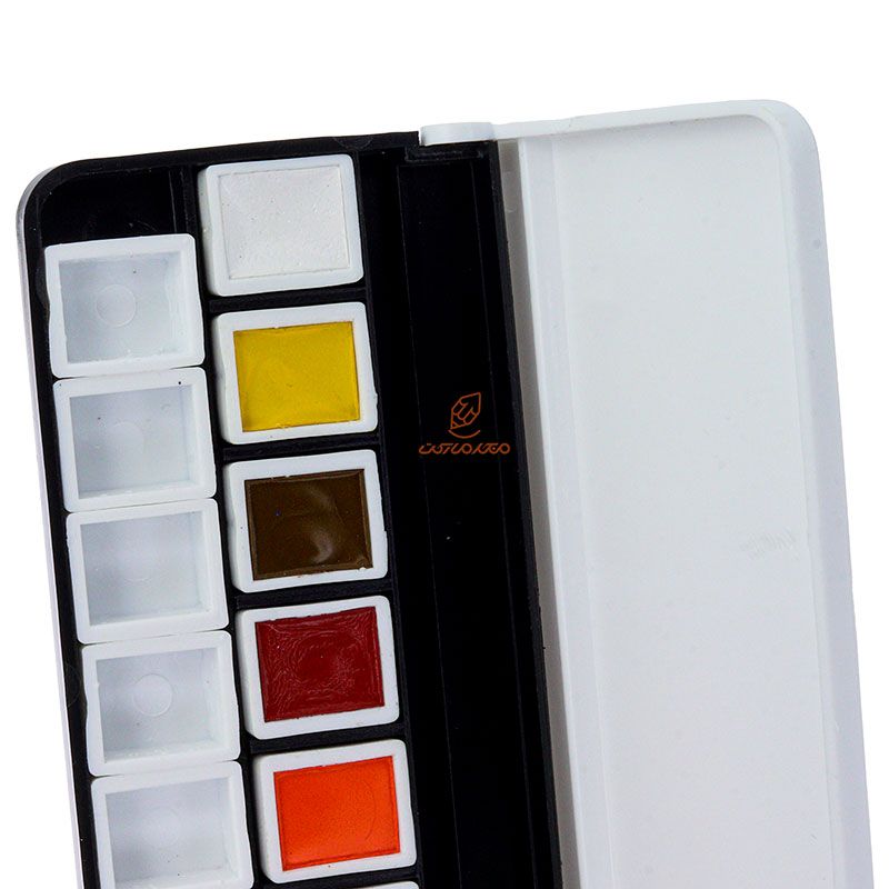 آبرنگ 12 رنگ آقامیری (4)