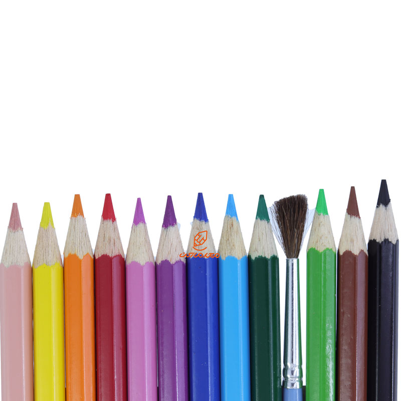مداد رنگی آبرنگی 12 رنگ جعبه مقوایی طرح طوطی فابرکاستل FABERCASTELL (4)