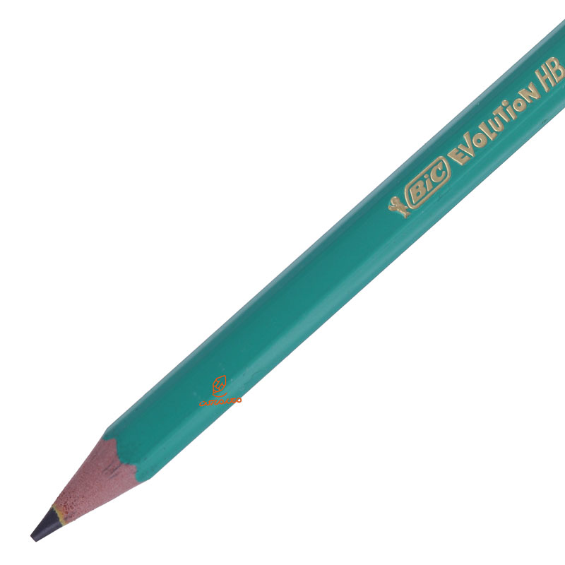 مداد مشکی ایولوشن بدنه سبز بیک BIC (4)