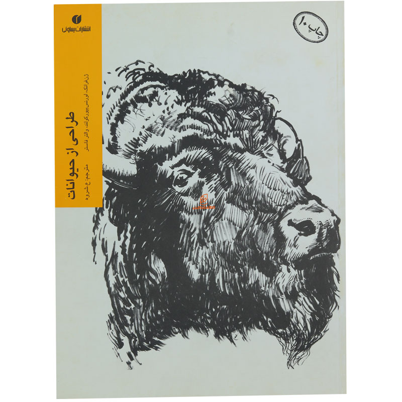 کتاب طراحی از حیوانات