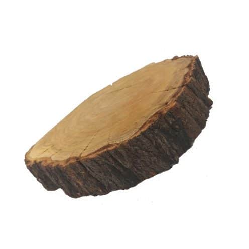 تنه درخت بزرگ گرد