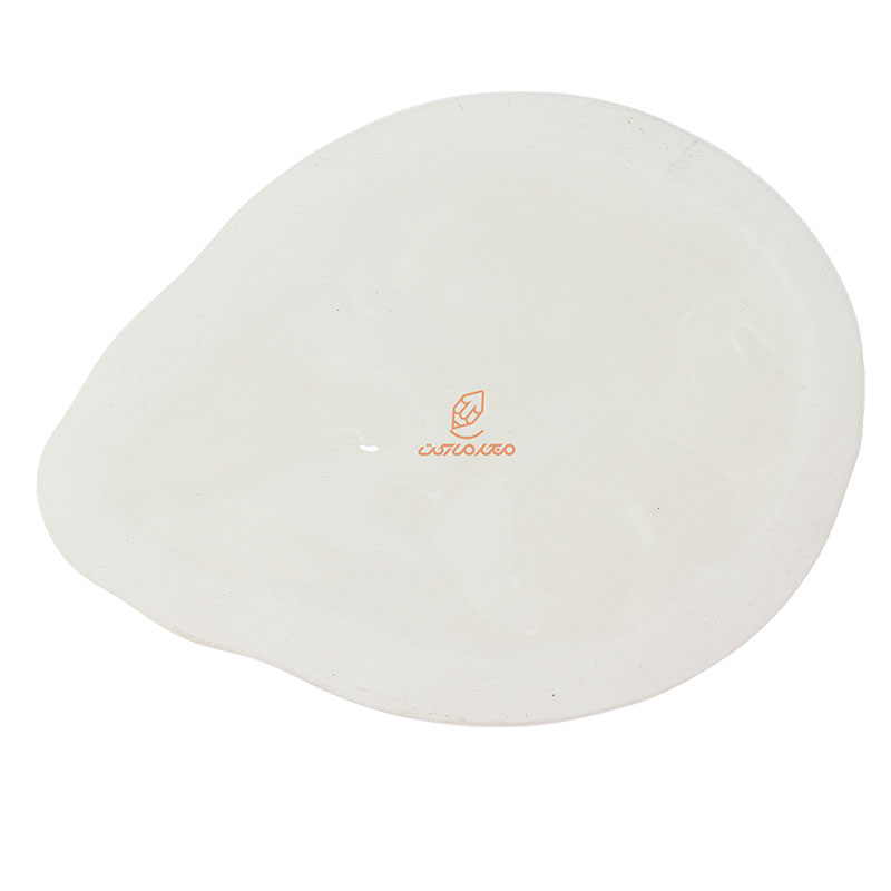 پالت سرامیکی کفشدوزک وندا (3)