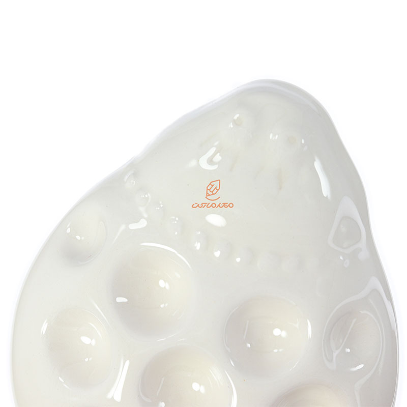 پالت سرامیکی کفشدوزک وندا (1)