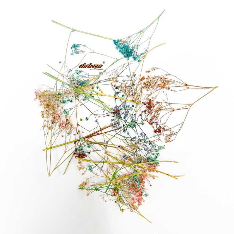 گل خشک هفت رنگ رزین