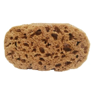 اسفنج پتینه