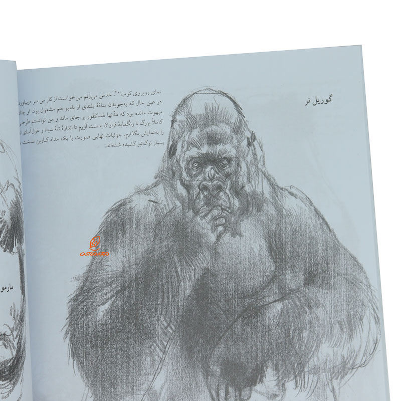 کتاب طراحی از حیوانات (1)