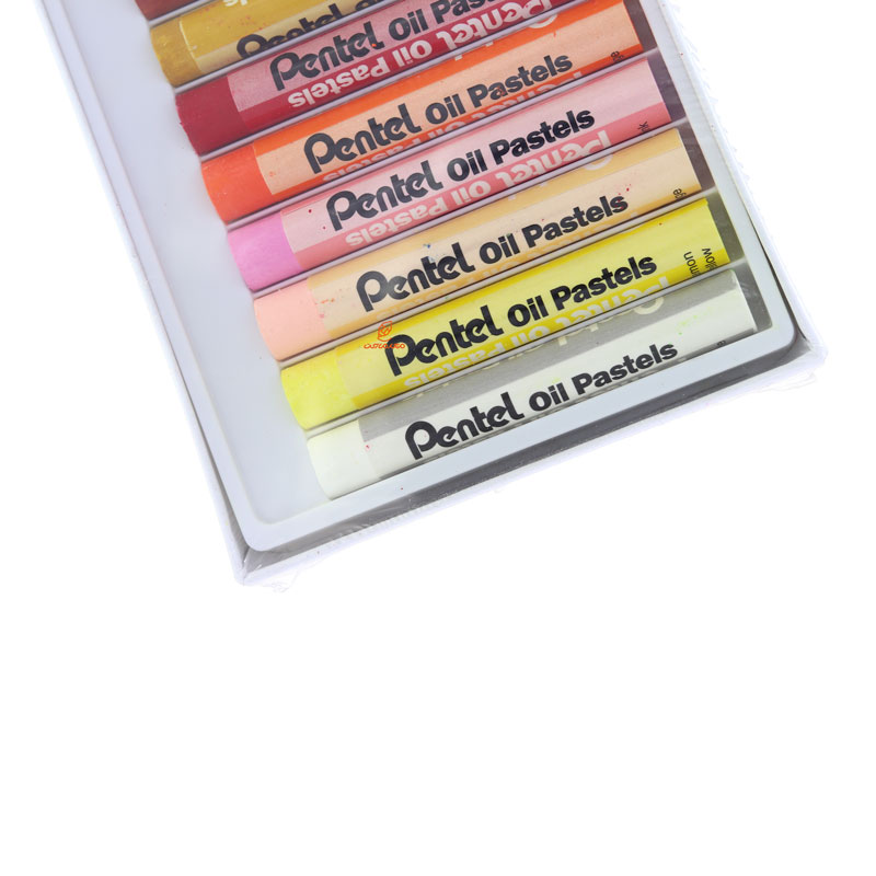 پاستل روغنی 16 رنگ پنتل (1)
