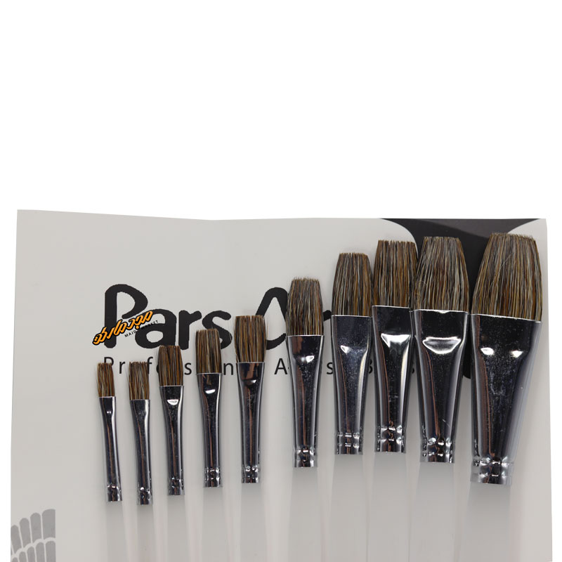 ست قلم مو تخت مو طبیعی کد 3050 پارس ارتیست