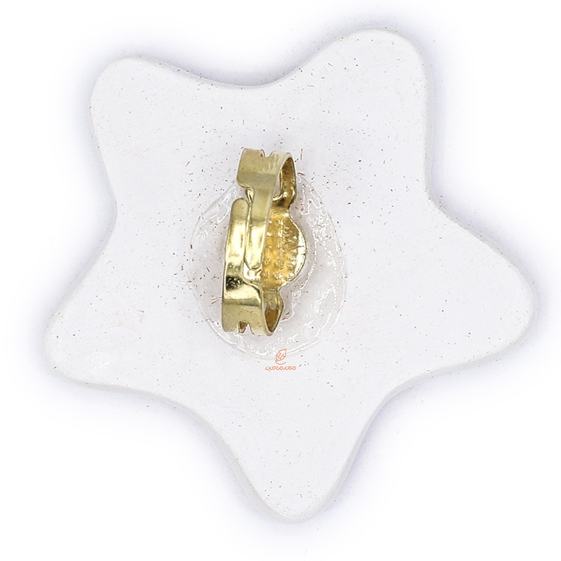 پالت سرامیکی انگشتری ستاره وندا (1)