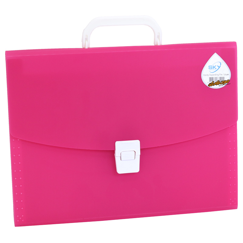 کیف فایلی 12 خانه صورتی اسکای