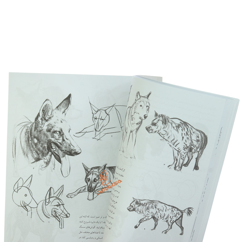کتاب طراحی از حیوانات (3)