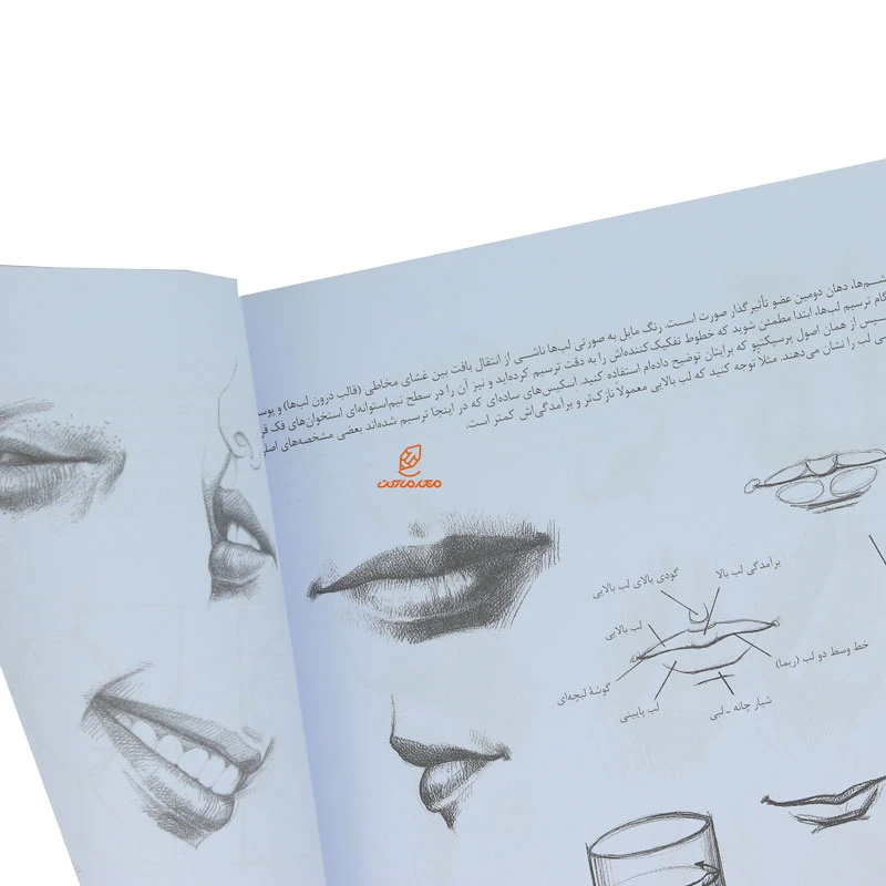 کتاب طراحی پرتره (چهره و پیکره) (1)