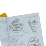 کتاب طراحی قدم به قدم درختان (1)