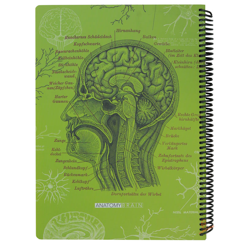 دفتر 100 برگ A4 سبز طرح آناتومی مغز دات نوت (1)