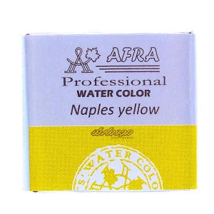 کد 210 (Naples Yellow Deep)