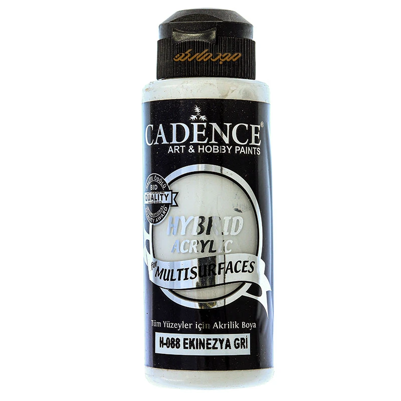 رنگ مولتی سورفیس ECHINACEA GRAY کد H088 کادنس (2)