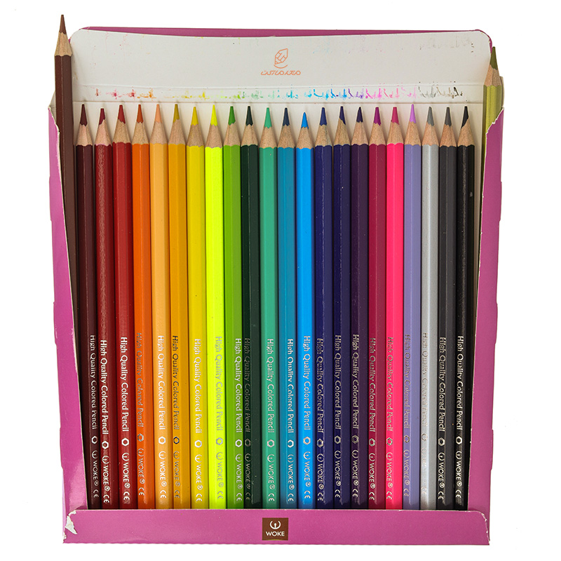 مداد رنگی 24 رنگ جعبه مقوایی طرح باغ وحش ووک WOKE (4)