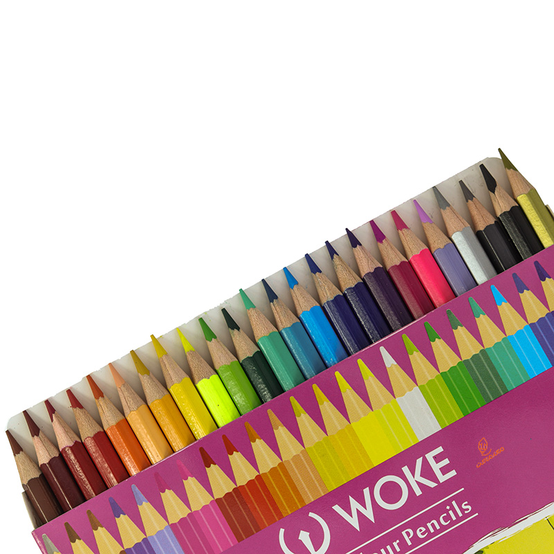 مداد رنگی 24 رنگ جعبه مقوایی طرح باغ وحش ووک WOKE (3)