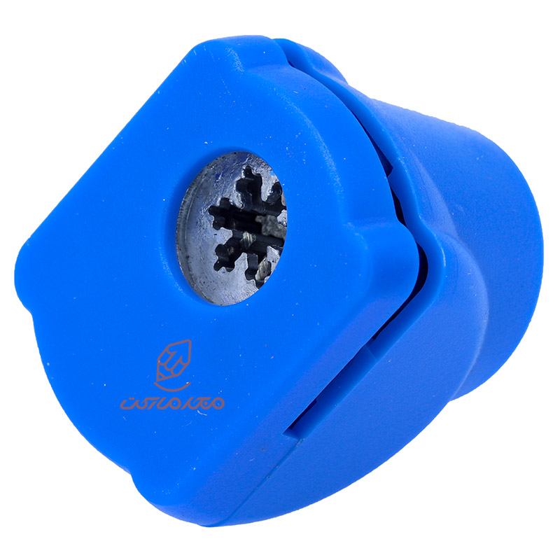 پانچ کوچک آبی طرح برگ (1)