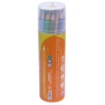 مداد رنگی 24 رنگ لوله ای طرح ببر پالمو PALMO (3)