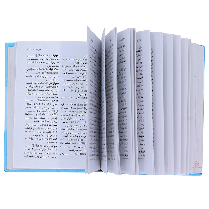 کتاب فرهنگ فارسی معین (3)
