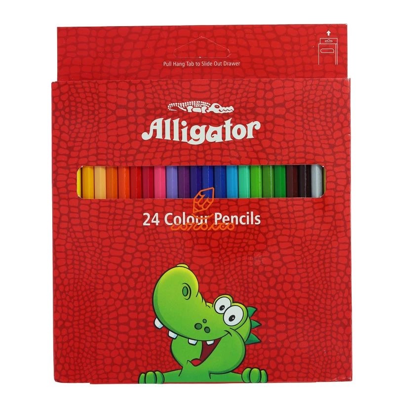مداد رنگی 24 رنگ جعبه مقوایی الیگیتور ALLIGATOR (4)