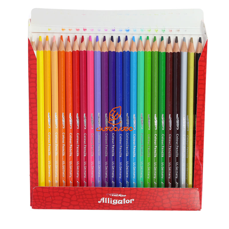 مداد رنگی 24 رنگ جعبه مقوایی الیگیتور ALLIGATOR (3)
