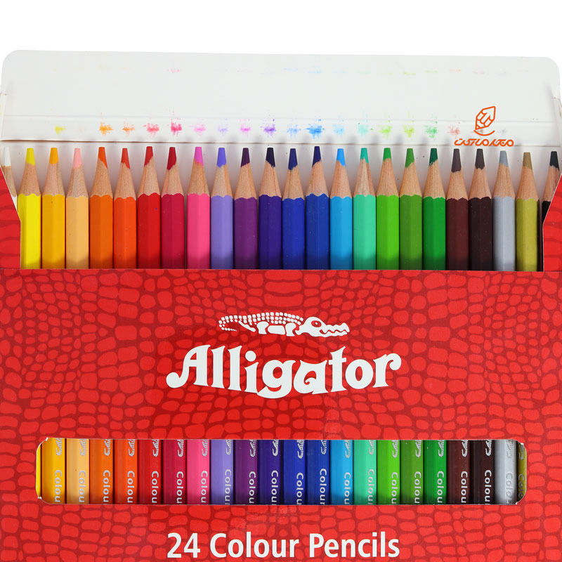 مداد رنگی 24 رنگ جعبه مقوایی الیگیتور ALLIGATOR (2)