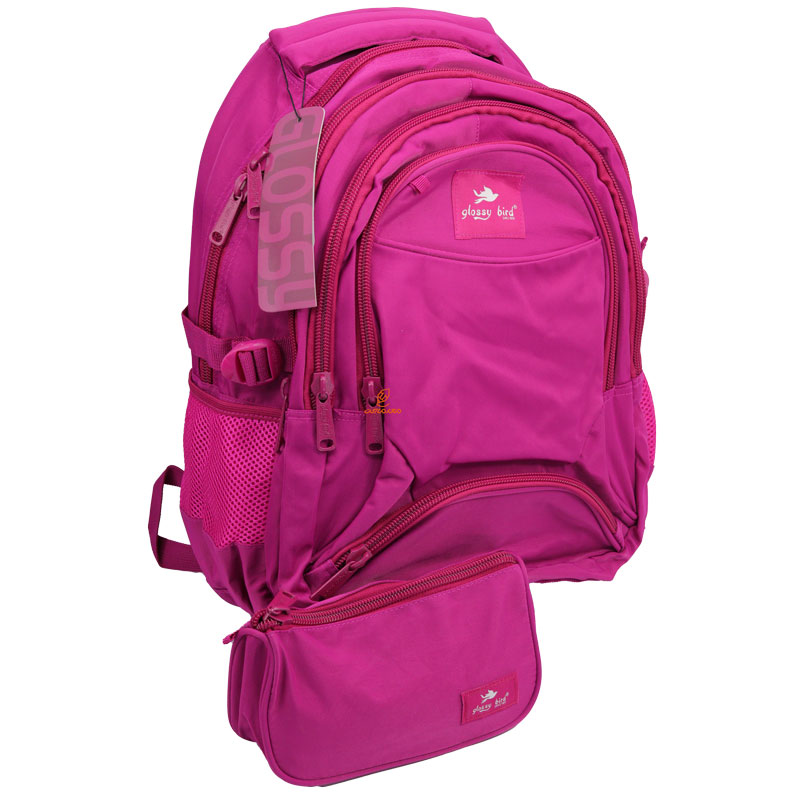 کوله پشتی دو تکه سرخابی 2579 گلسی برد GLOSSY BIRD