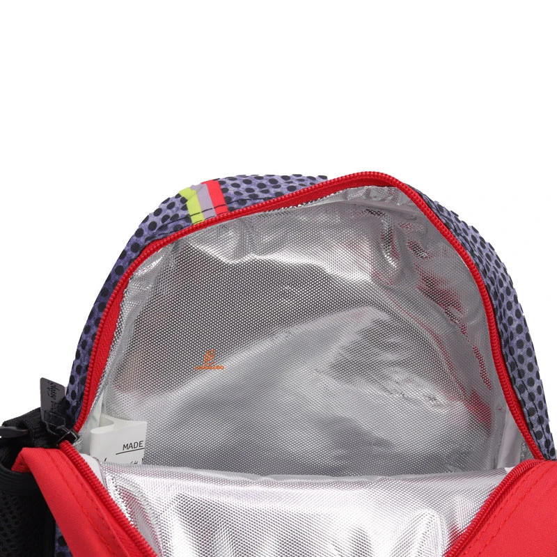 کوله پشتی سه تکه طرح ماشین مسابقه 2266 گلسی برد GLOSSY BIRD (1)