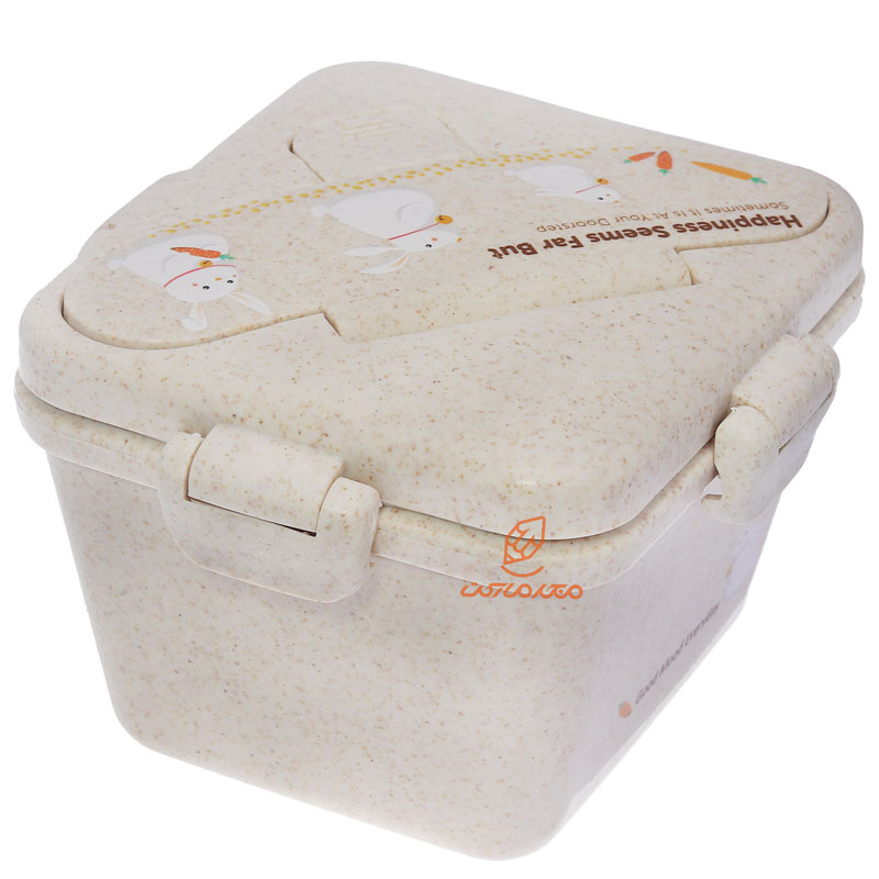 ظرف غذا یک طبقه گیاهی B528 کرم (3)