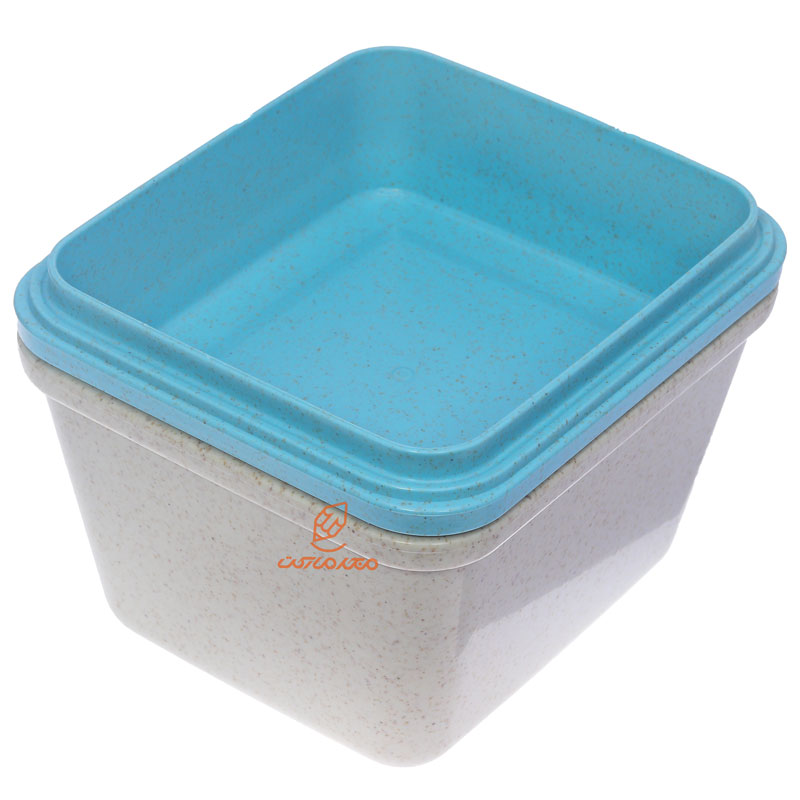 ظرف غذا سه طبقه گیاهی B531 کرم آبی (6)