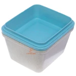 ظرف غذا سه طبقه گیاهی B531 کرم آبی (6)