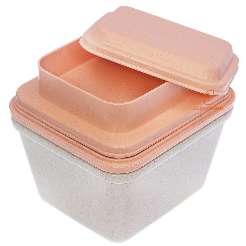 ظرف غذا سه طبقه گیاهی B531 کرم صورتی (5)