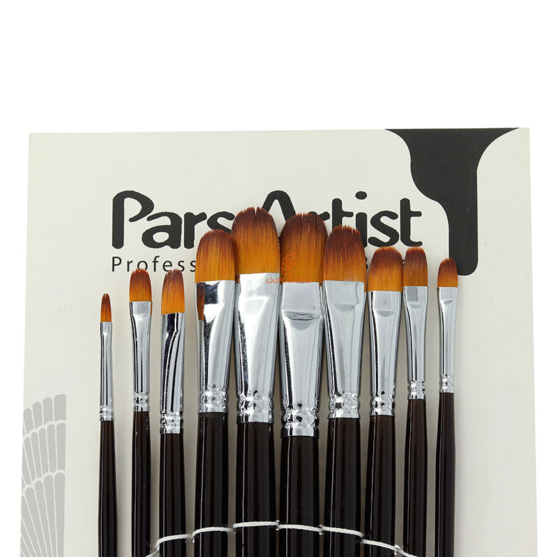 ست قلم مو زبان گربه کد 3010 پارس آرتیست (5)