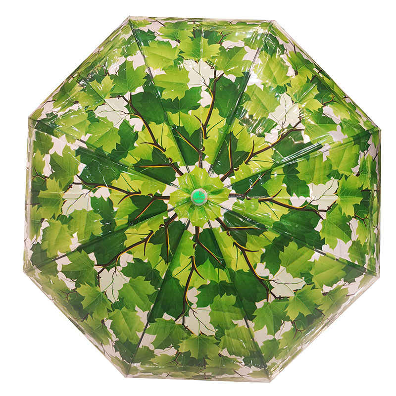 چتر شفاف نایلونی طرح برگ های سبز (3)
