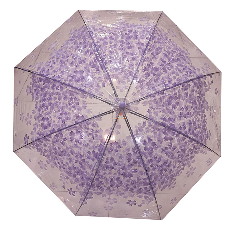 چتر شفاف نایلونی طرح شکوفه های یاسی (2)