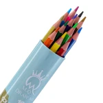 مداد رنگی 12 رنگ لوله ای طرح حیوانات جنگل ام کیو MQ (1)