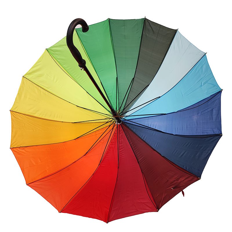 چتر رنگین کمان (6)