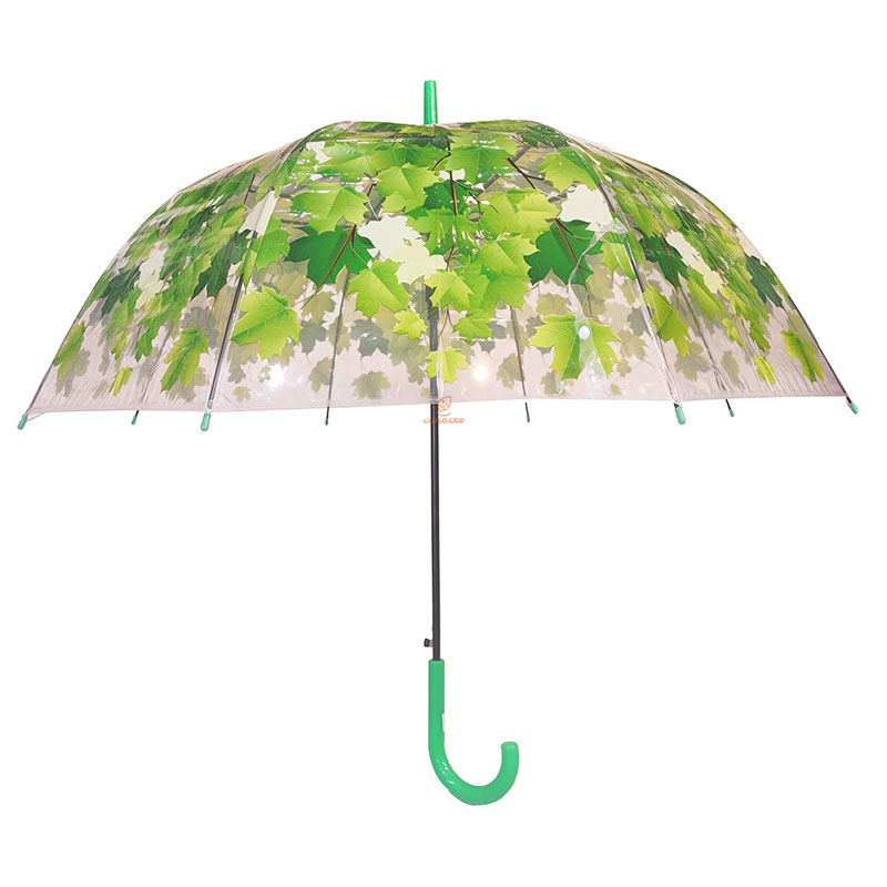 چتر شفاف نایلونی طرح برگ های سبز