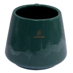 ماگ سبز طرح غاز (4)
