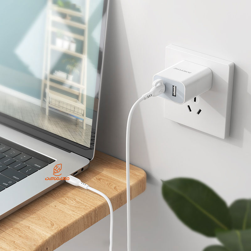 کابل شارژ دو سر TYP-C مدل BX91 بروفون BOROFONE (2)