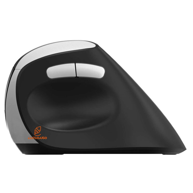 ماوس بی سیم سایلنت مدل EV250 راپو RAPOO (3)