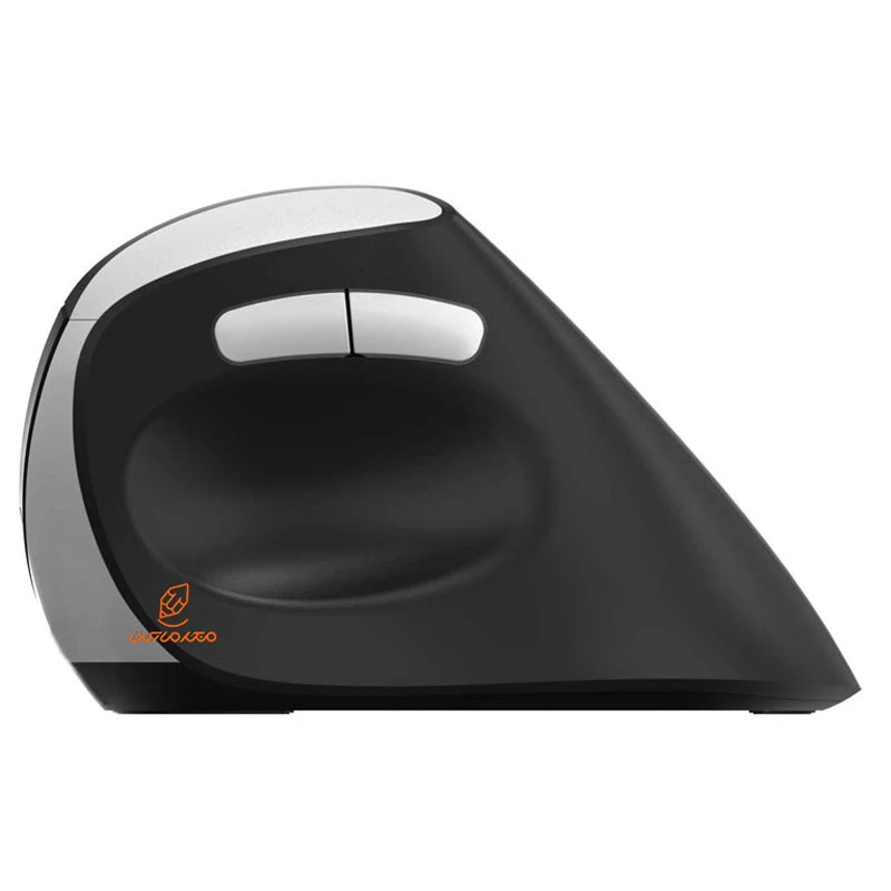 ماوس بی سیم سایلنت مدل EV250 راپو RAPOO (3)