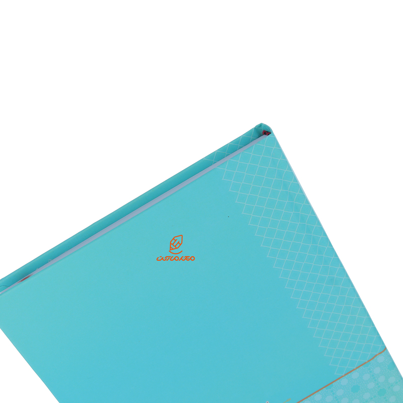 سالنامه (سررسید) 1403 فیروزه ای طرح دار لئون (4)