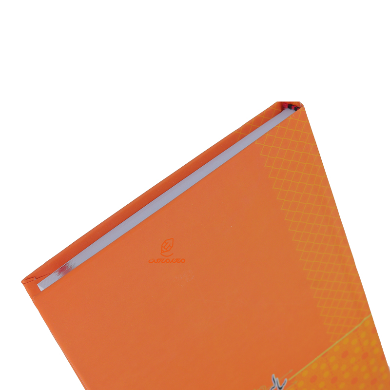 سالنامه (سررسید) 1403 نارنجی طرح دار لئون (4)