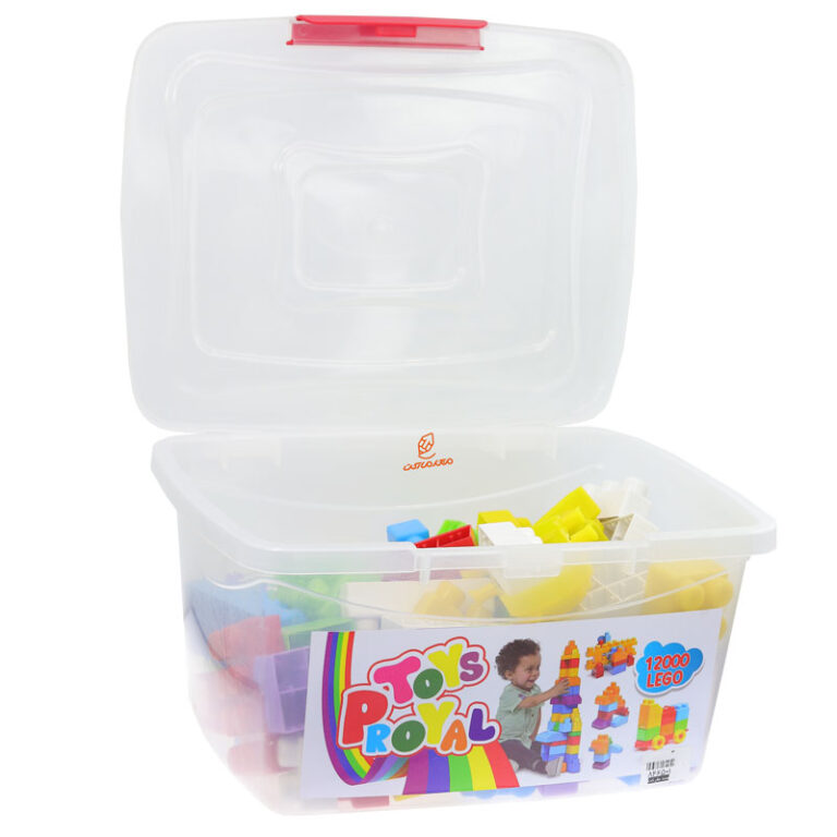 بازی-فکری-دومینو-فله-ای-1000-قطعه-لبخند-1-768x768