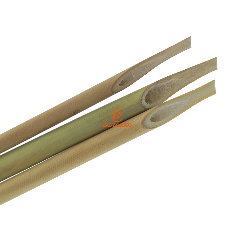 قلم خوشنویسی بامبو (3)