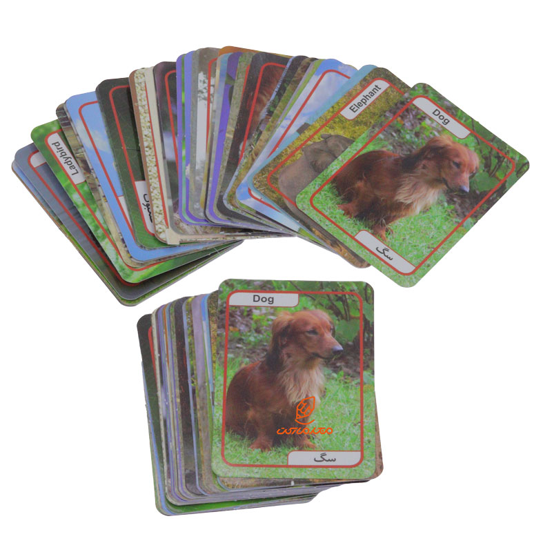 فلش کارت دو زبانه حیوانات (برف) (4)